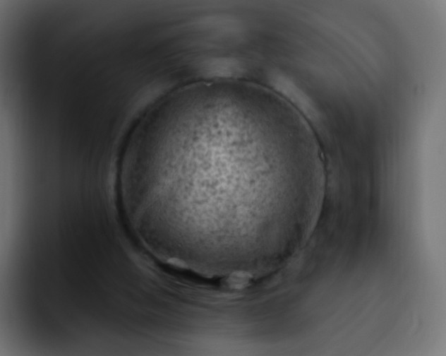 X0000093170058200710031511