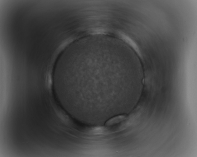 X0000093170059200710031511
