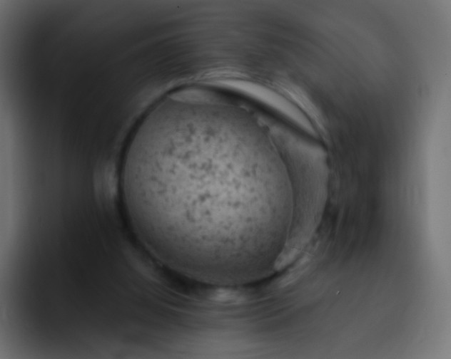 X0000093170060200710031511