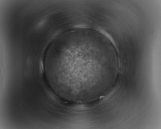 X0000093170061200710031511