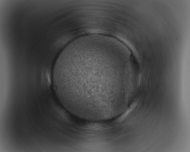 X0000093170062200710031511