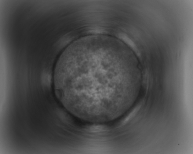 X0000093170063200710031511
