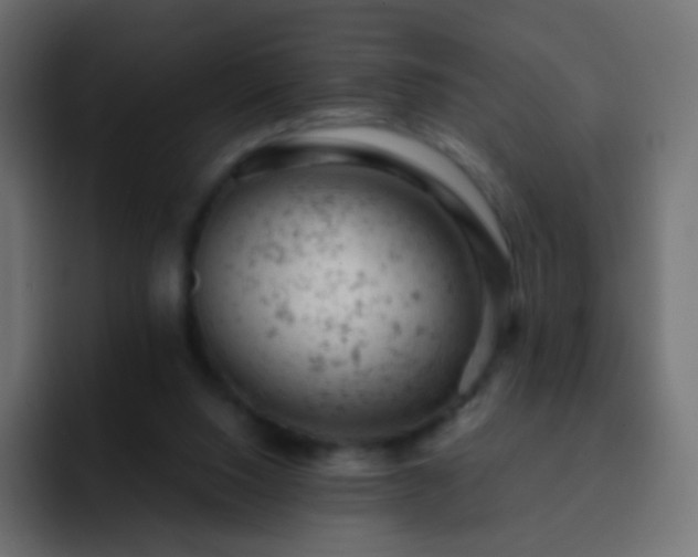 X0000093170064200710031511