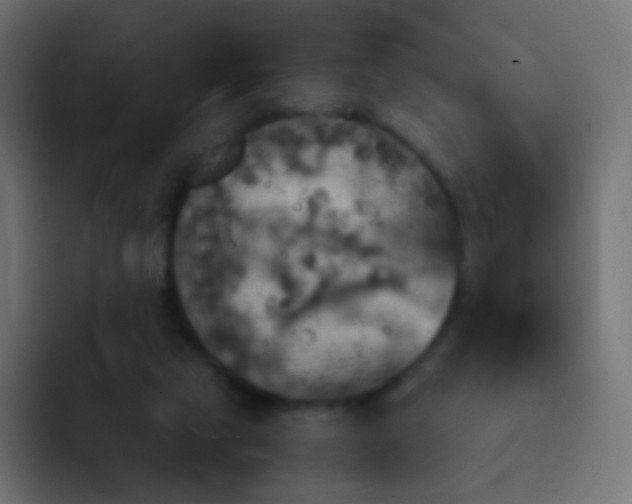 X0000093170065200710031511