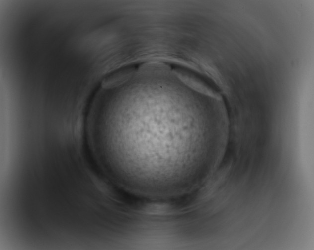 X0000093170066200710031511