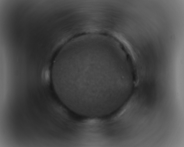 X0000093170067200710031511