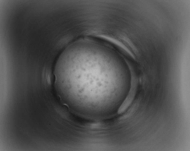 X0000093170068200710031511