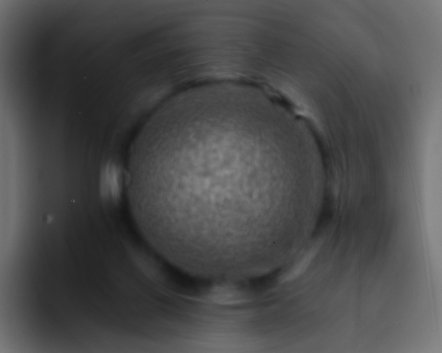 X0000093170070200710031511