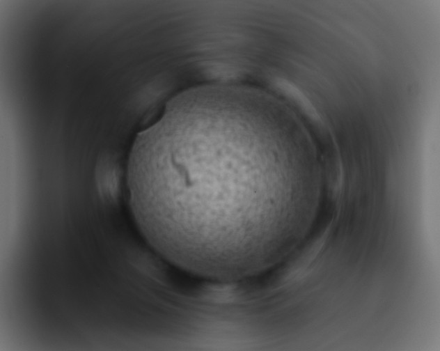 X0000093170071200710031511