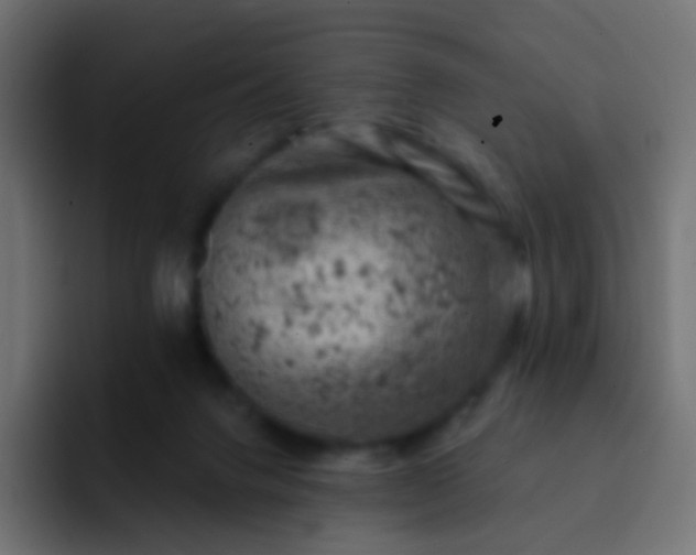 X0000093170072200710031511
