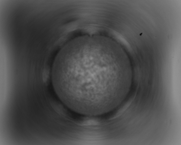 X0000093170073200710031511