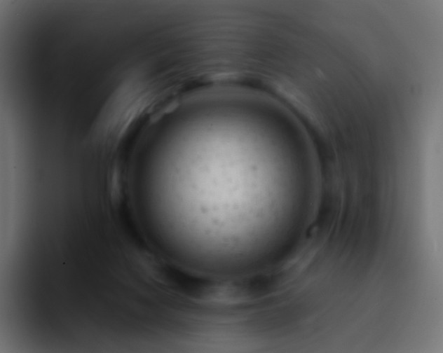 X0000093170074200710031511