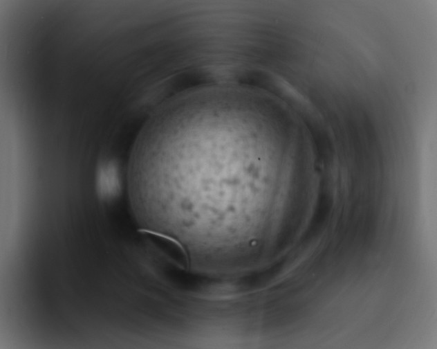 X0000093170075200710031511