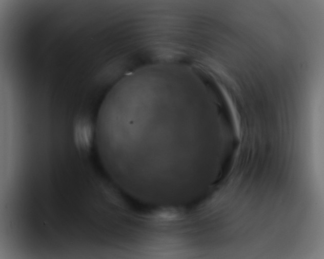 X0000093170076200710031511