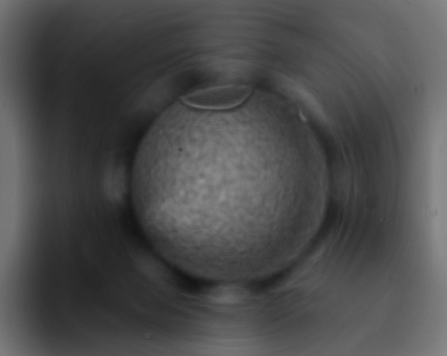 X0000093170077200710031511