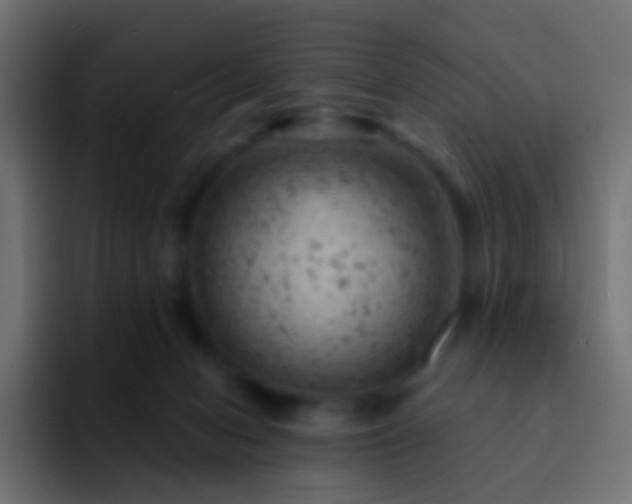 X0000093170078200710031511