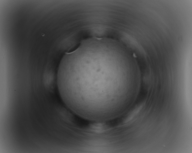 X0000093170079200710031511
