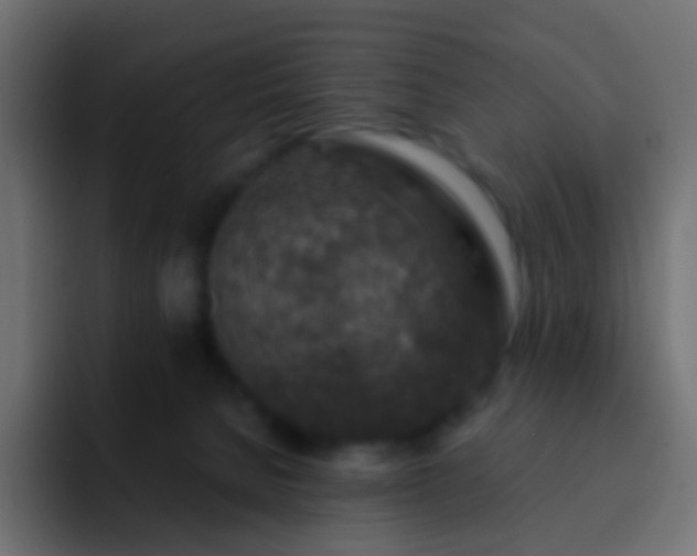 X0000093170080200710031511