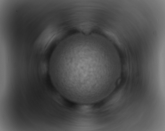 X0000093170081200710031511