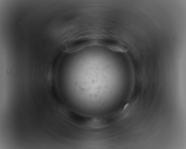 X0000093170082200710031511