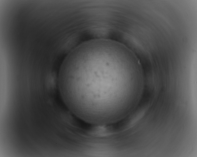 X0000093170083200710031511