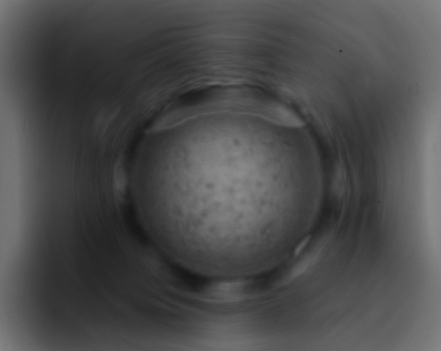 X0000093170084200710031511