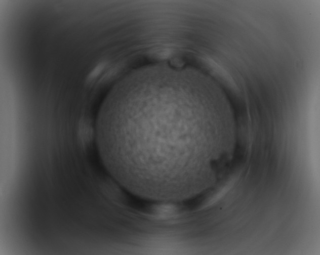 X0000093170085200710031511