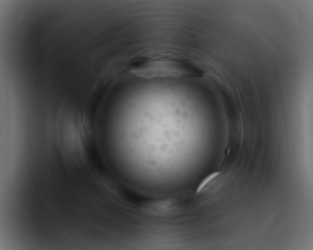 X0000093170086200710031511