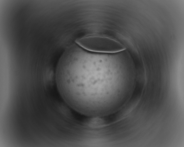 X0000093170087200710031511