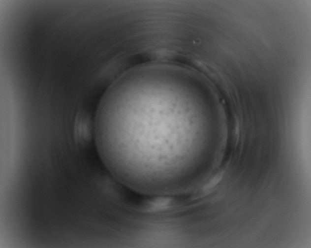 X0000093170090200710031511