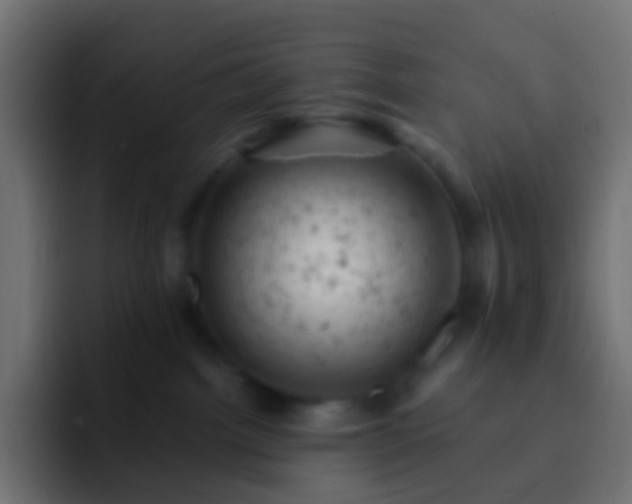X0000093170092200710031511