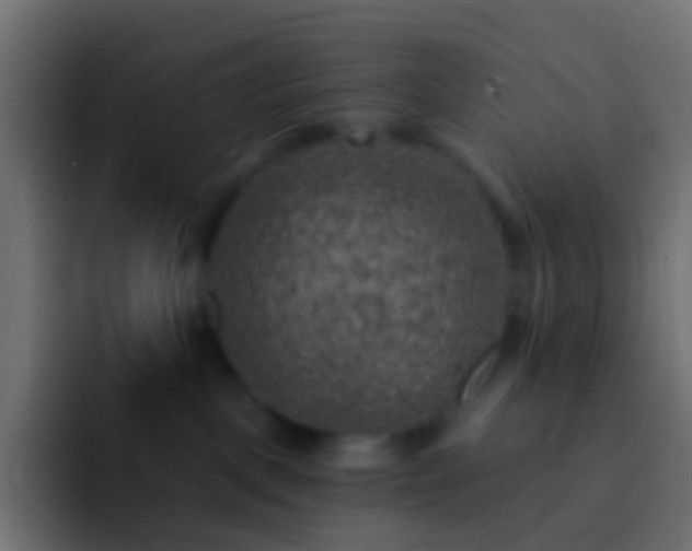 X0000093170093200710031511