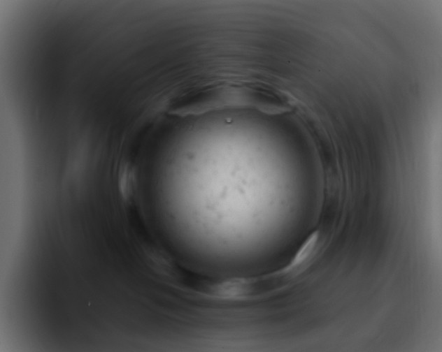 X0000093170094200710031511