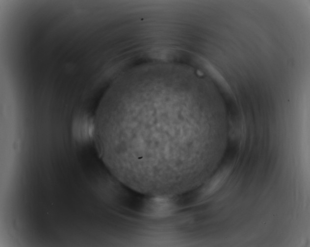X0000093170095200710031511