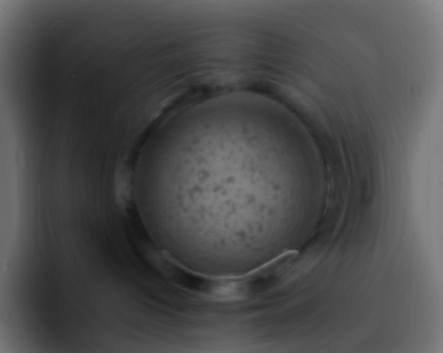 X0000093170096200710031511