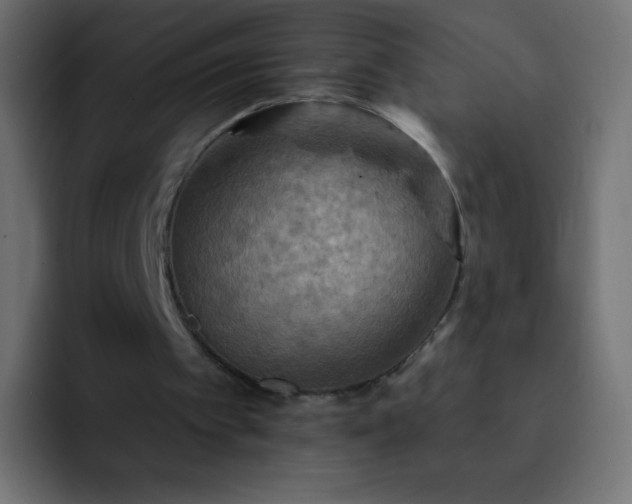X0000093170097200710031511