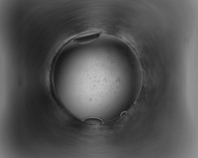 X0000093170098200710031511