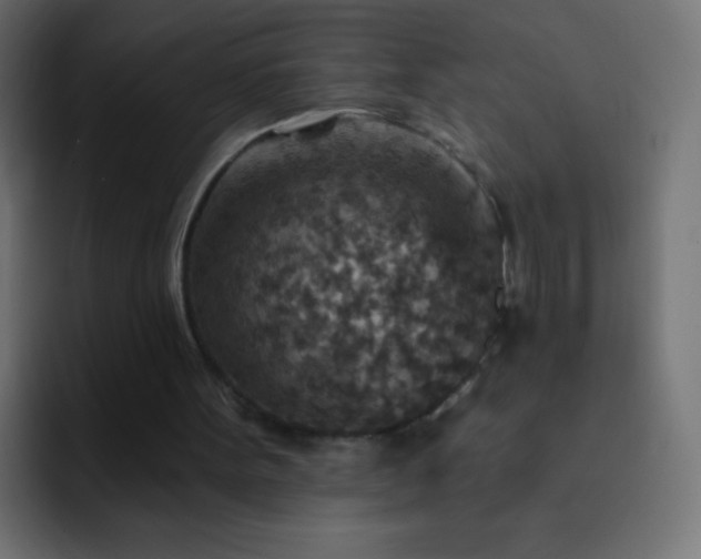 X0000093170099200710031511