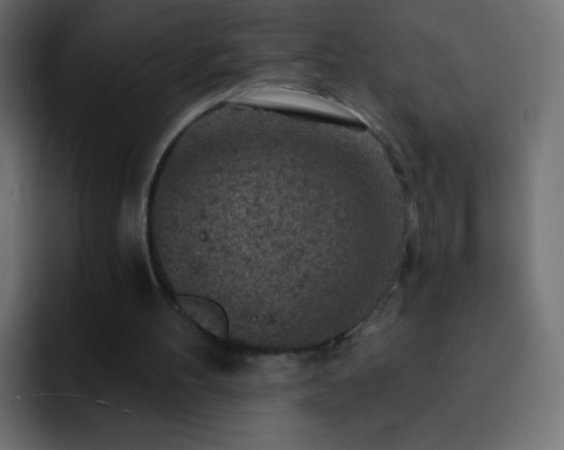 X0000093170100200710031511