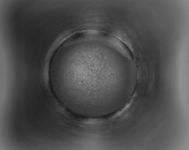 X0000093170101200710031511