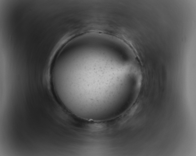 X0000093170102200710031511