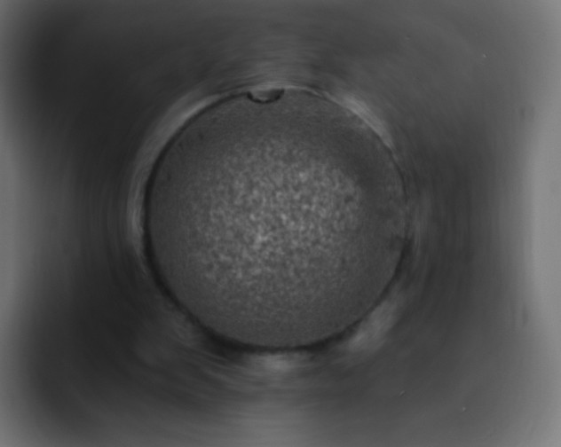X0000093170103200710031511