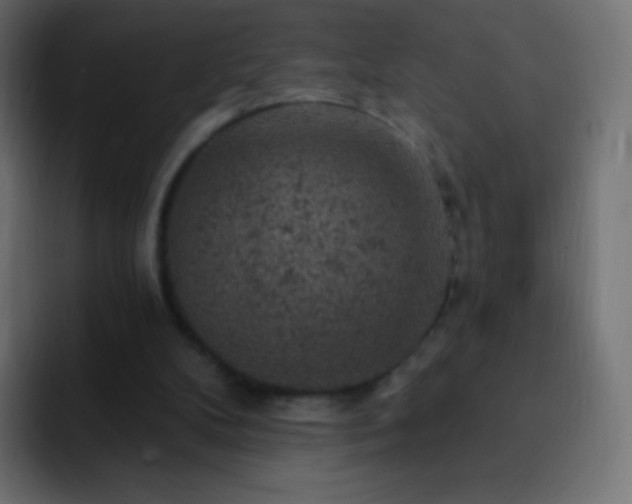 X0000093170104200710031511