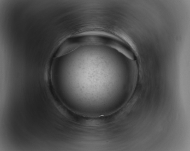 X0000093170105200710031511
