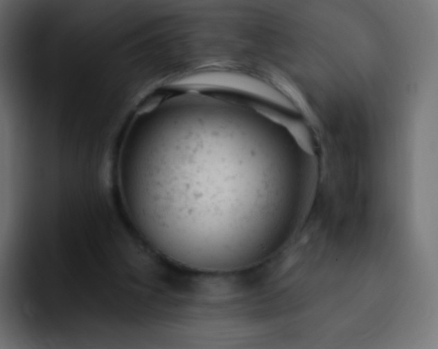 X0000093170106200710031511