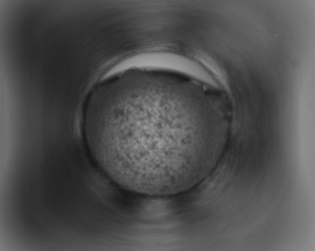 X0000093170107200710031511