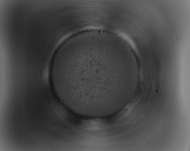 X0000093170108200710031511