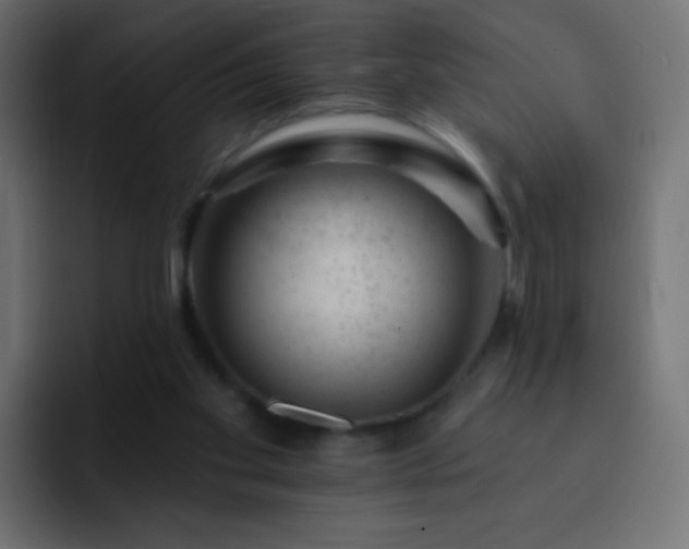 X0000093170109200710031511