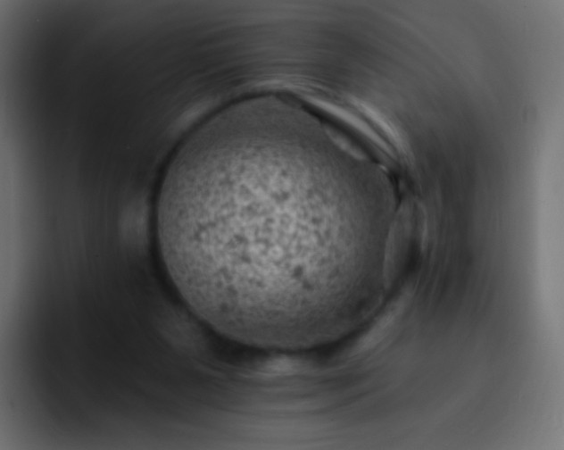X0000093170111200710031511