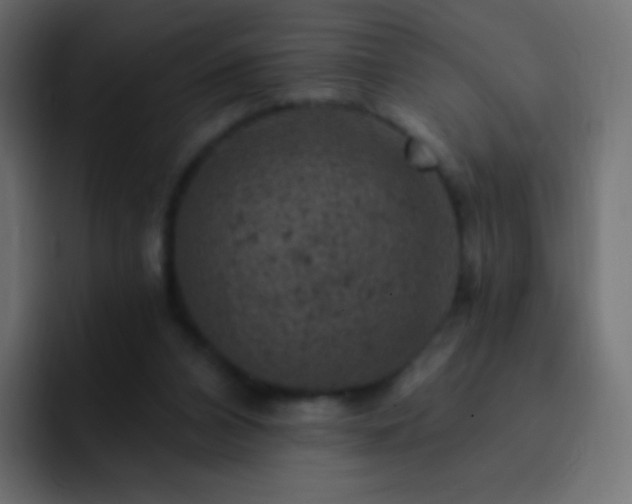 X0000093170112200710031511